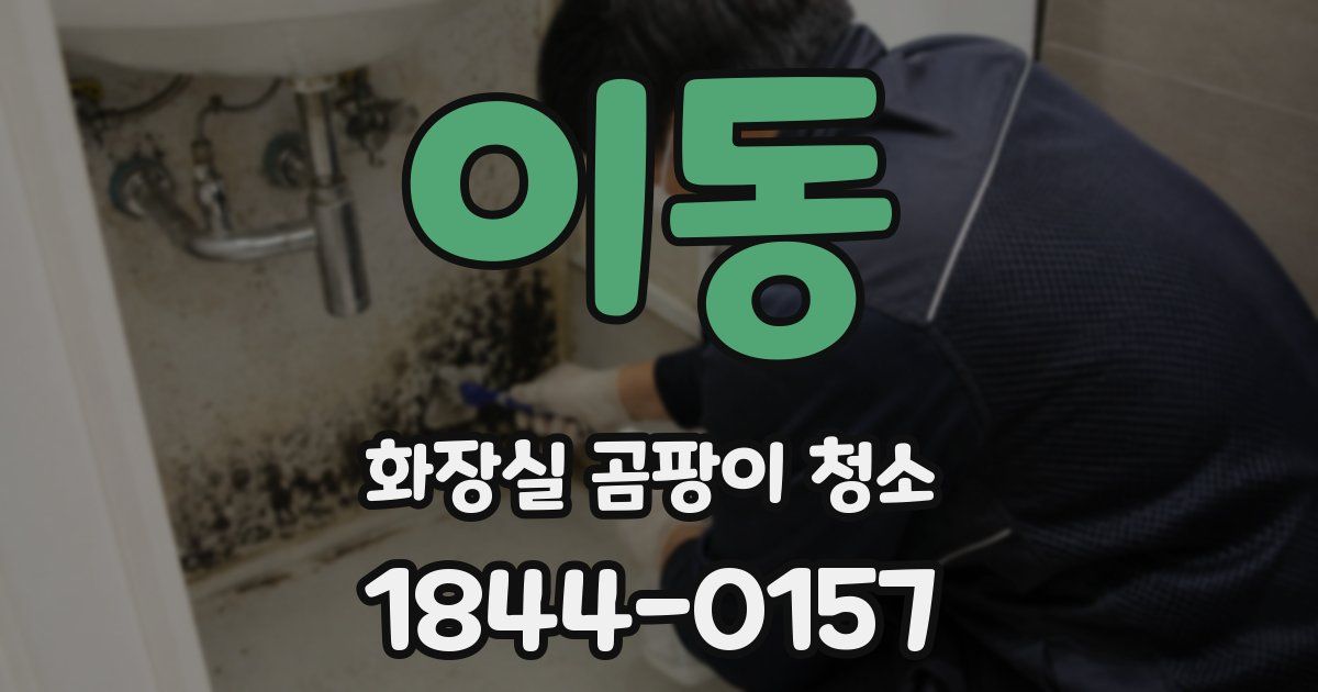 이동 화장실 곰팡이 청소