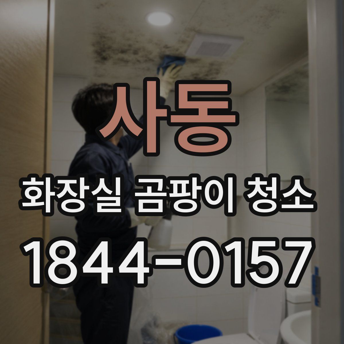 사동 화장실 곰팡이 청소