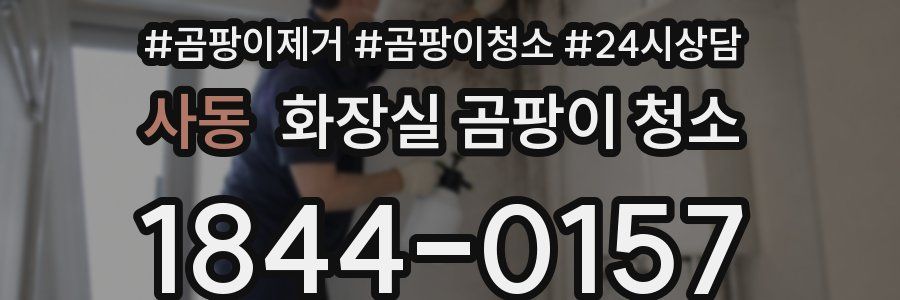 사동 화장실 곰팡이 청소