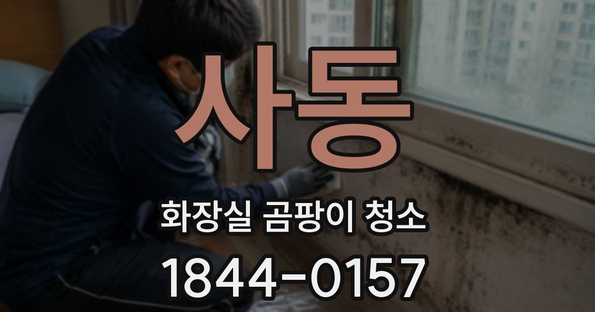 사동 화장실 곰팡이 청소