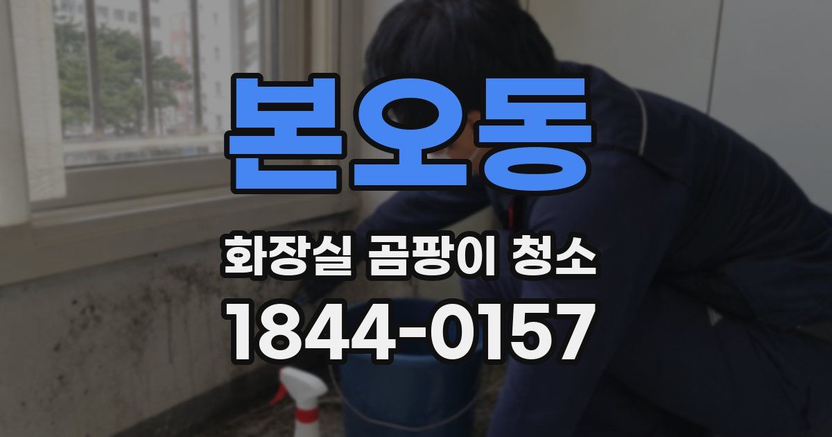 본오동 화장실 곰팡이 청소