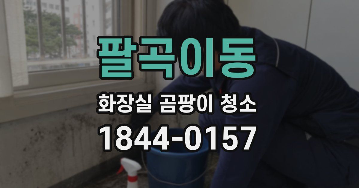 팔곡이동 화장실 곰팡이 청소