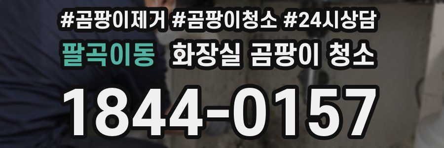 팔곡이동 화장실 곰팡이 청소