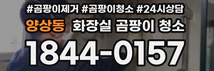 양상동 화장실 곰팡이 청소