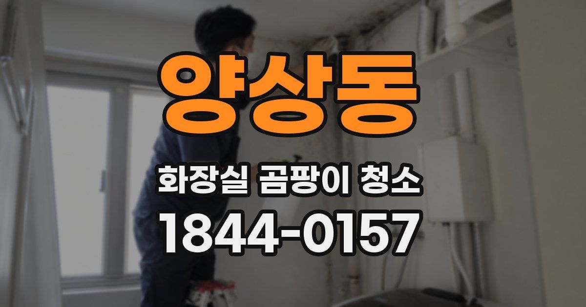양상동 화장실 곰팡이 청소