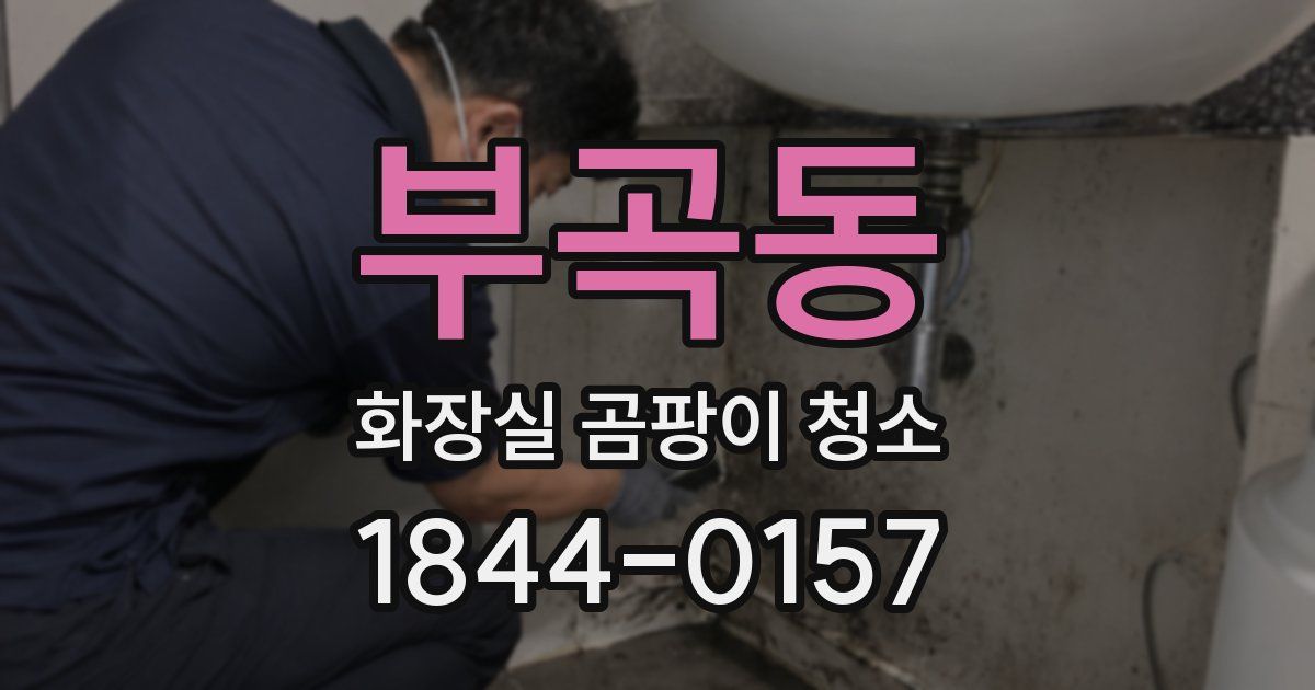 부곡동 화장실 곰팡이 청소