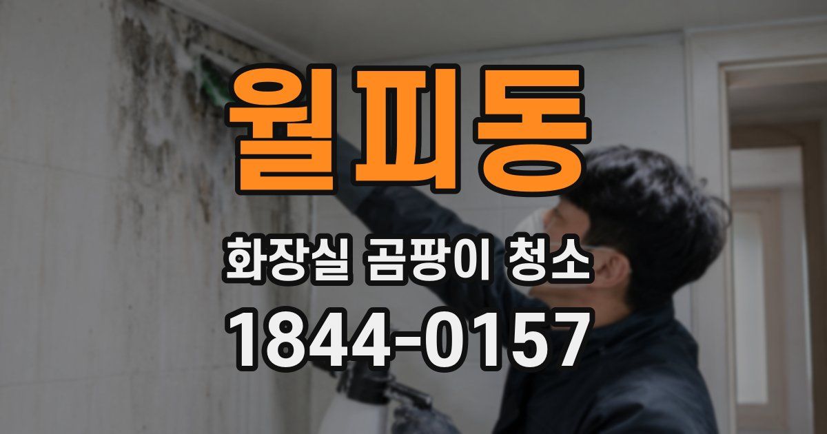 월피동 화장실 곰팡이 청소