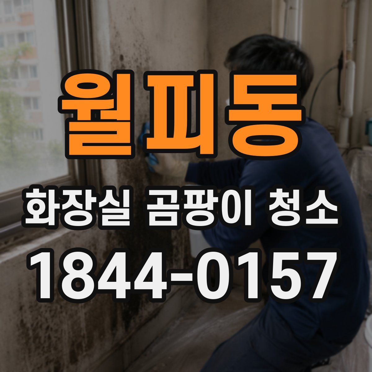 월피동 화장실 곰팡이 청소