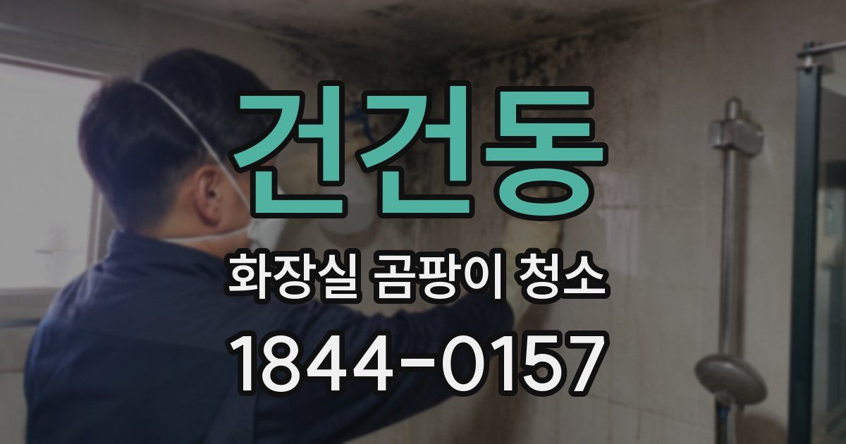 건건동 화장실 곰팡이 청소