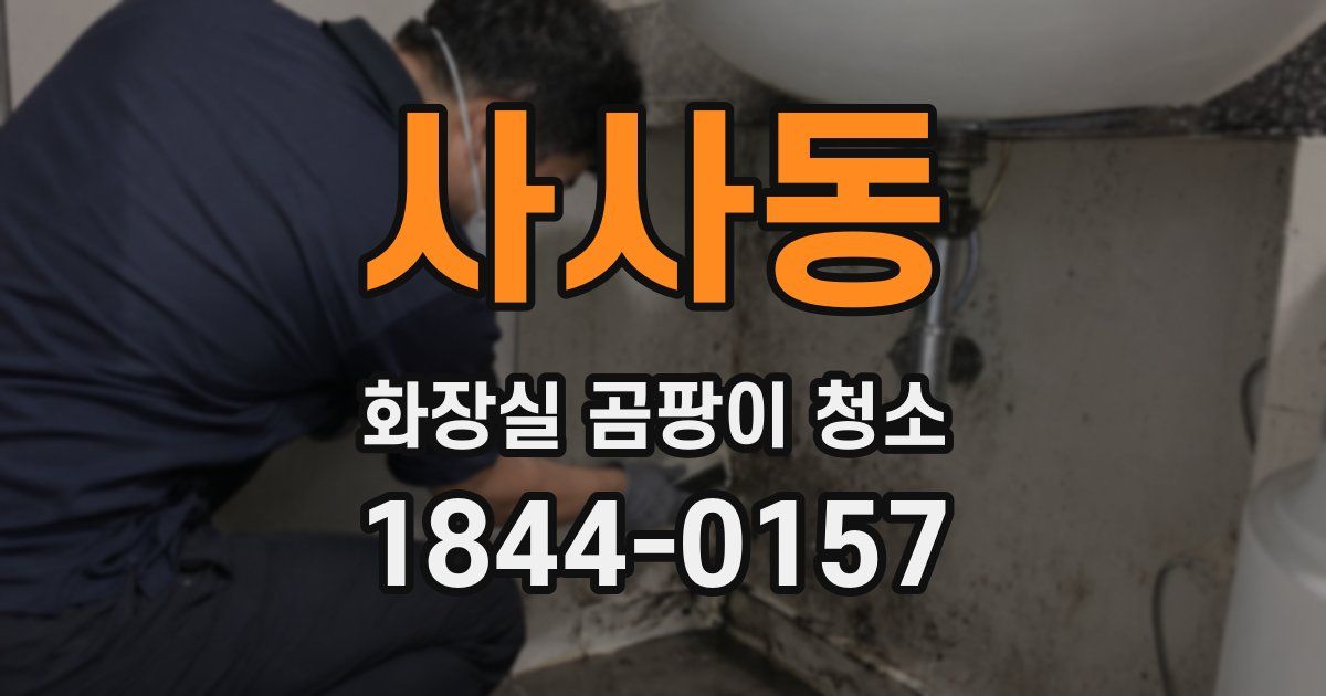 사사동 화장실 곰팡이 청소