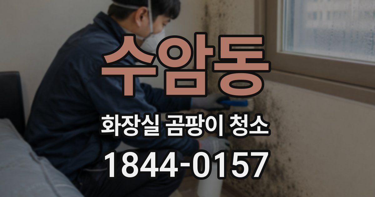 수암동 화장실 곰팡이 청소