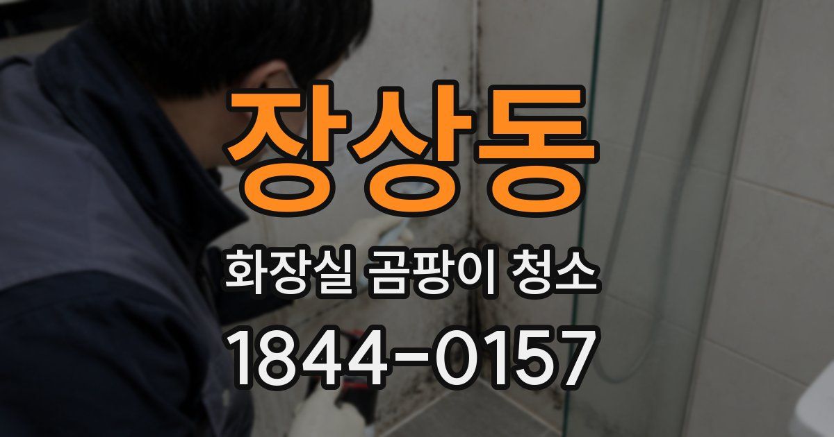 장상동 화장실 곰팡이 청소