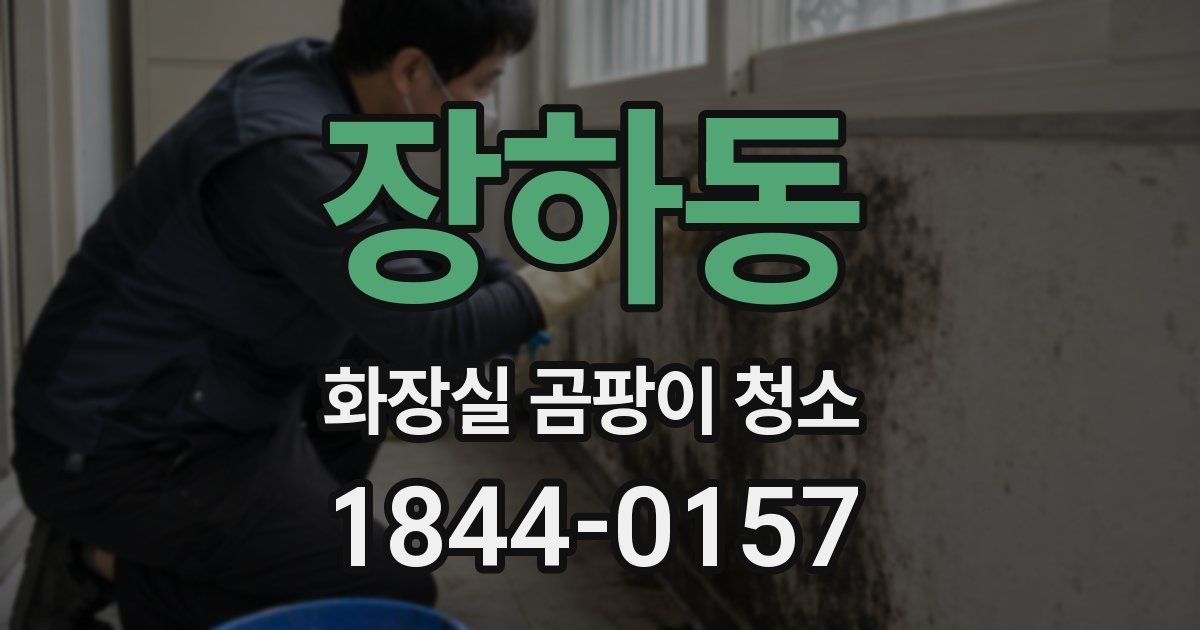 장하동 화장실 곰팡이 청소