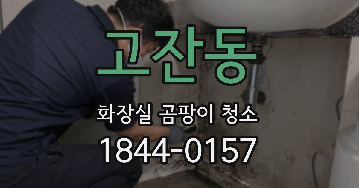 고잔동 화장실 곰팡이 청소