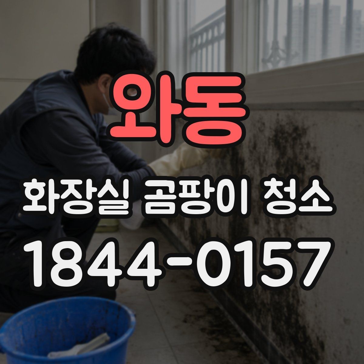 와동 화장실 곰팡이 청소 배수구 주변 물때까지 함께 정리하는 방법