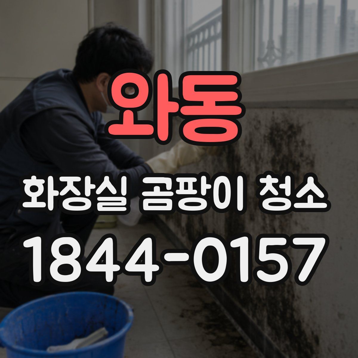 와동 화장실 곰팡이 청소