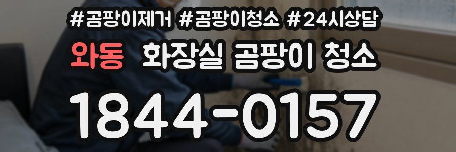 와동 화장실 곰팡이 청소