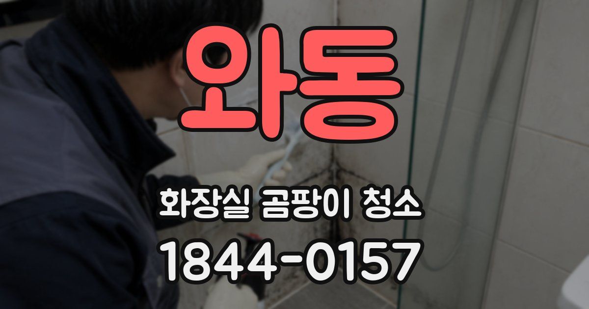 와동 화장실 곰팡이 청소