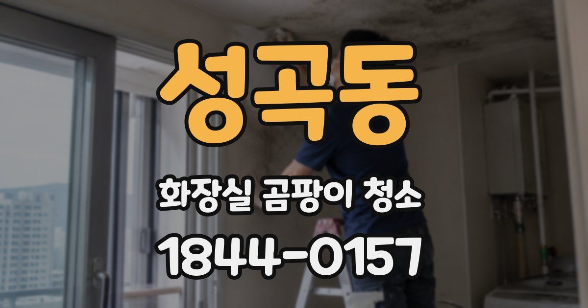 성곡동 화장실 곰팡이 청소