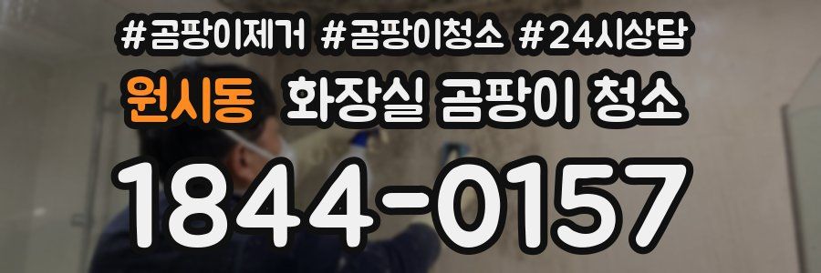 원시동 화장실 곰팡이 청소