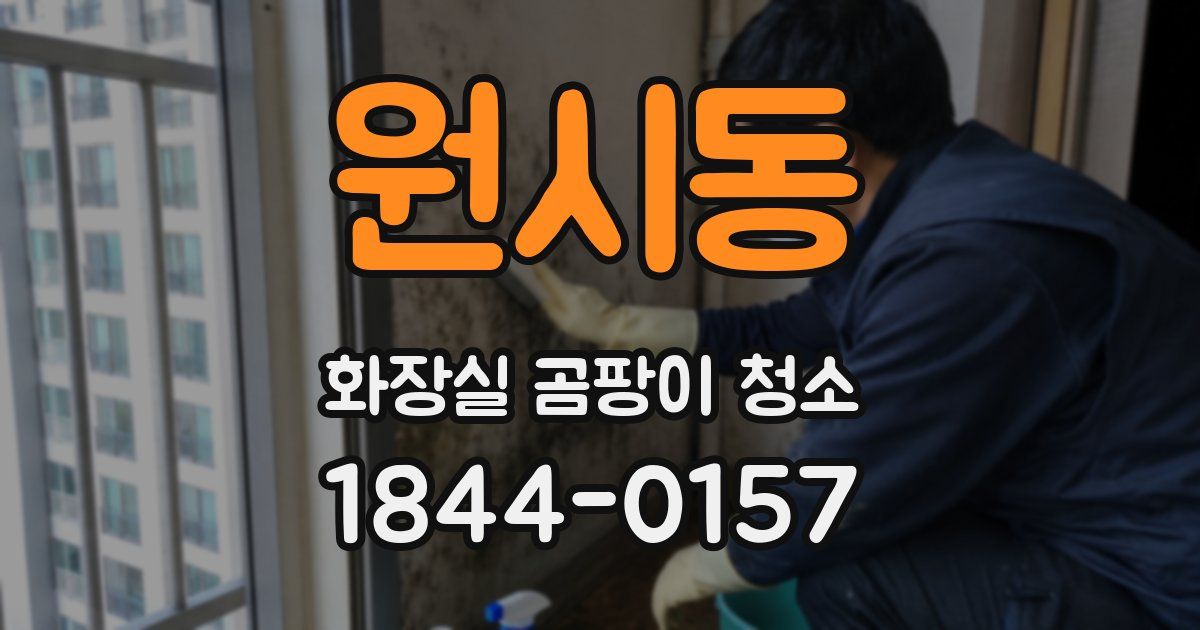 원시동 화장실 곰팡이 청소