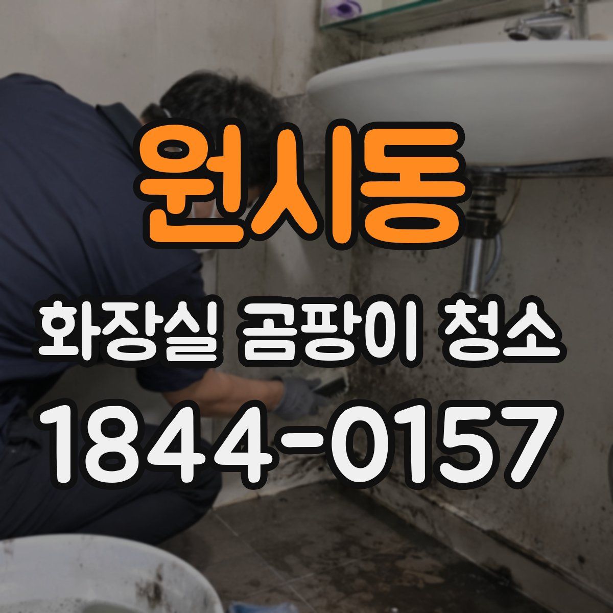 원시동 화장실 곰팡이 청소