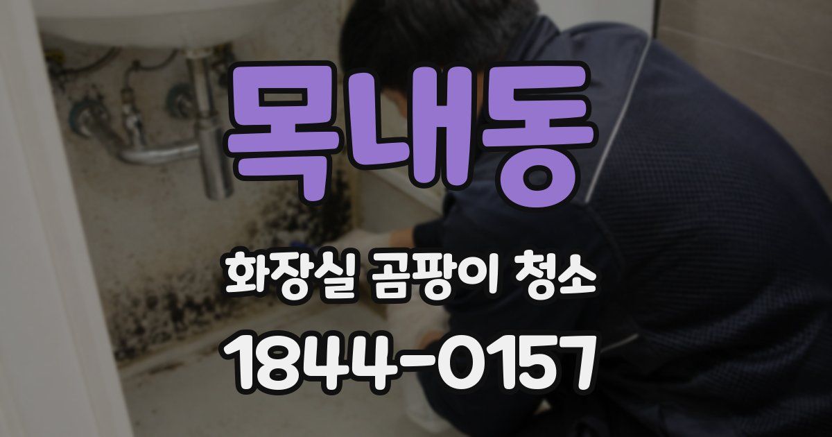 목내동 화장실 곰팡이 청소