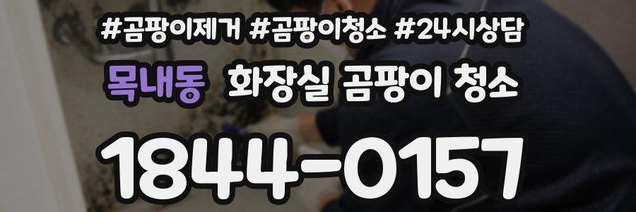 목내동 화장실 곰팡이 청소