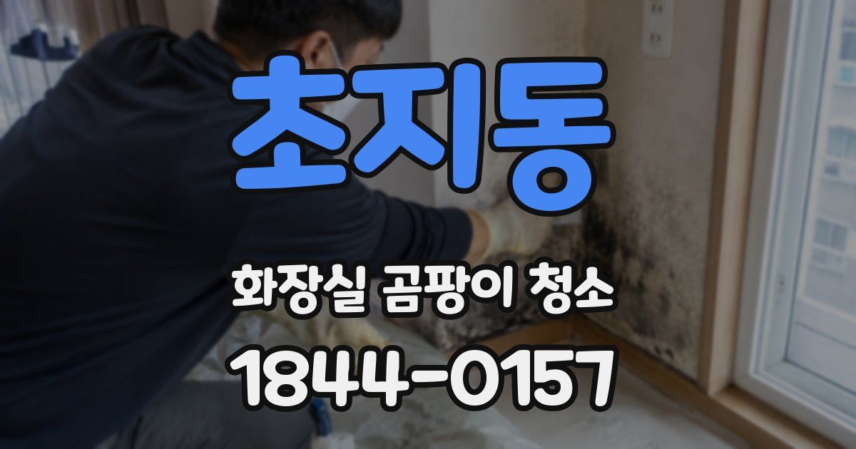 초지동 화장실 곰팡이 청소