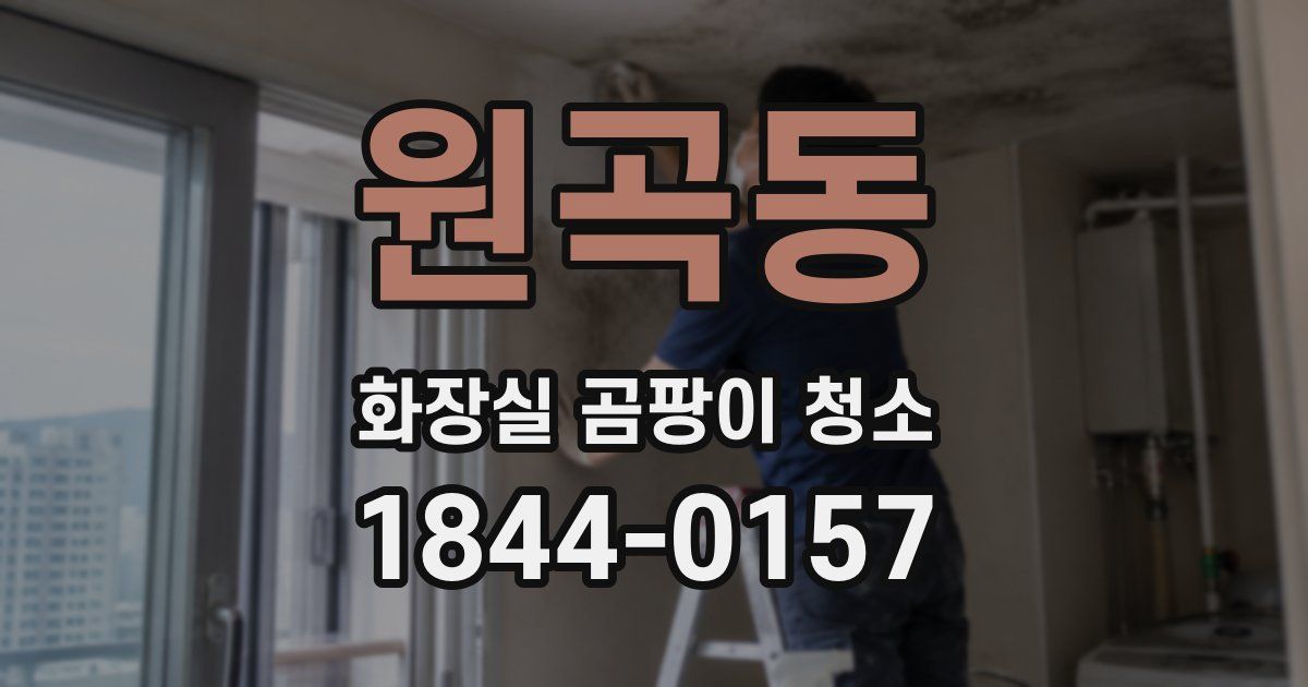 원곡동 화장실 곰팡이 청소