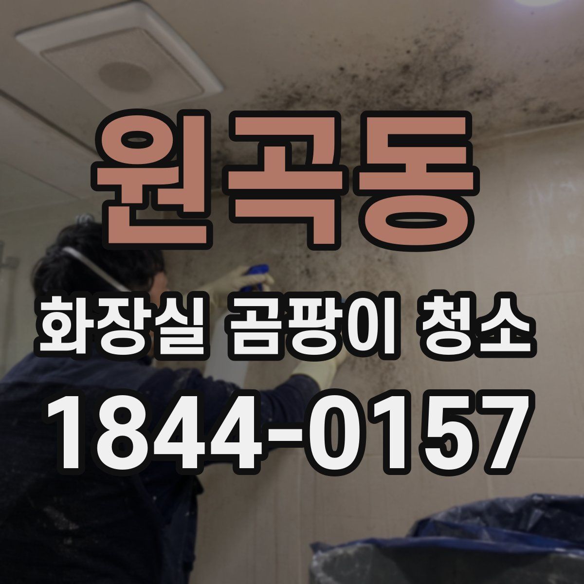 원곡동 화장실 곰팡이 청소