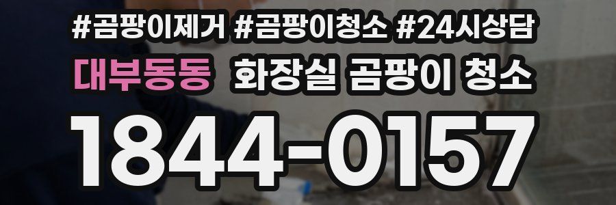 대부동동 화장실 곰팡이 청소