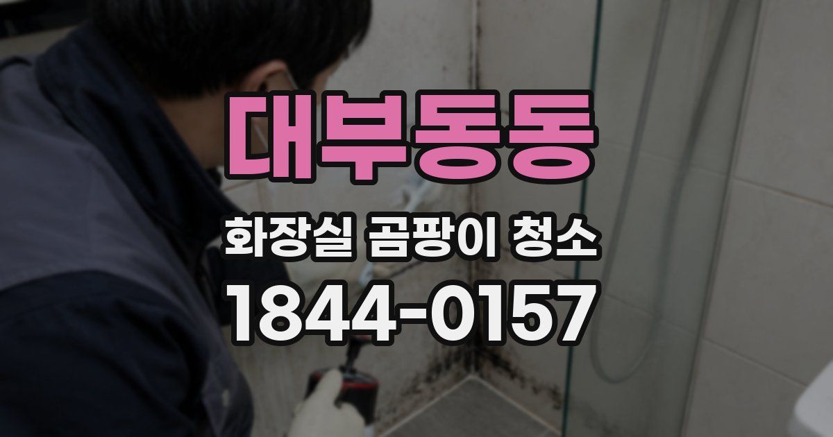 대부동동 화장실 곰팡이 청소