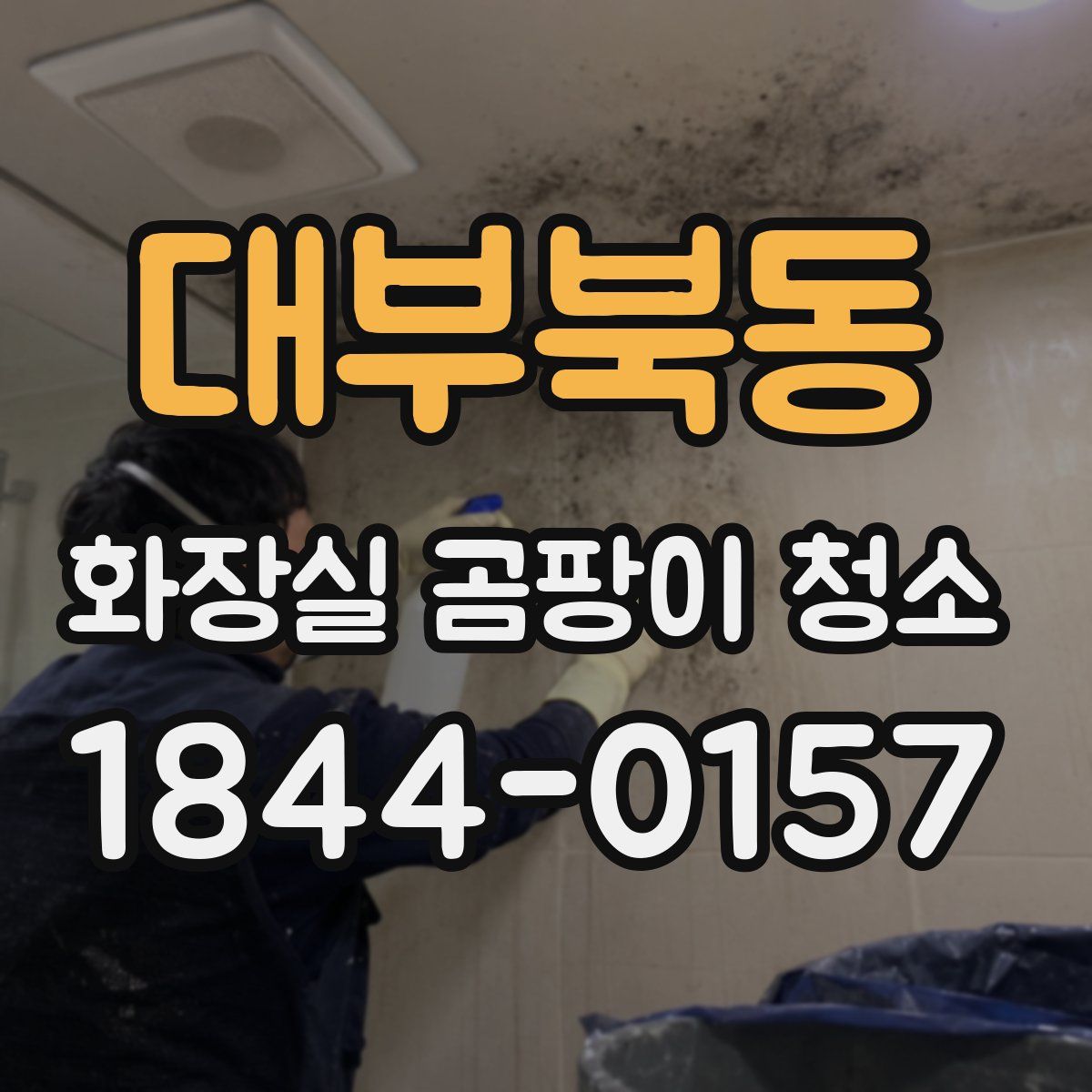 대부북동 화장실 곰팡이 청소