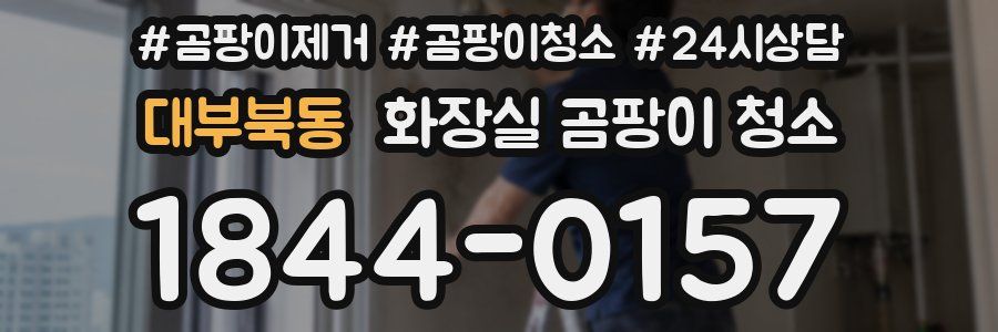대부북동 화장실 곰팡이 청소
