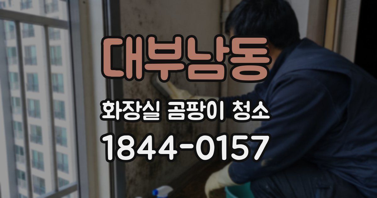 대부남동 화장실 곰팡이 청소