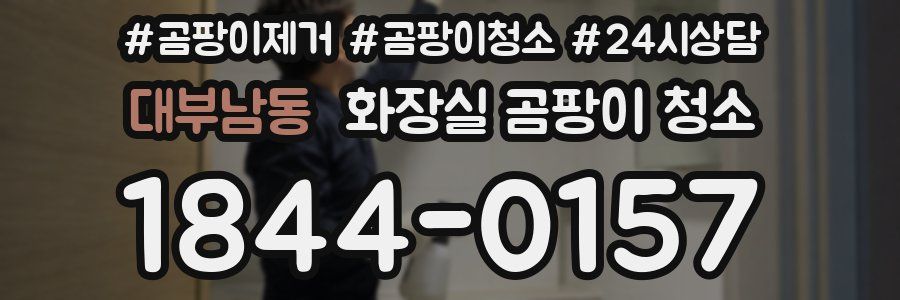 대부남동 화장실 곰팡이 청소