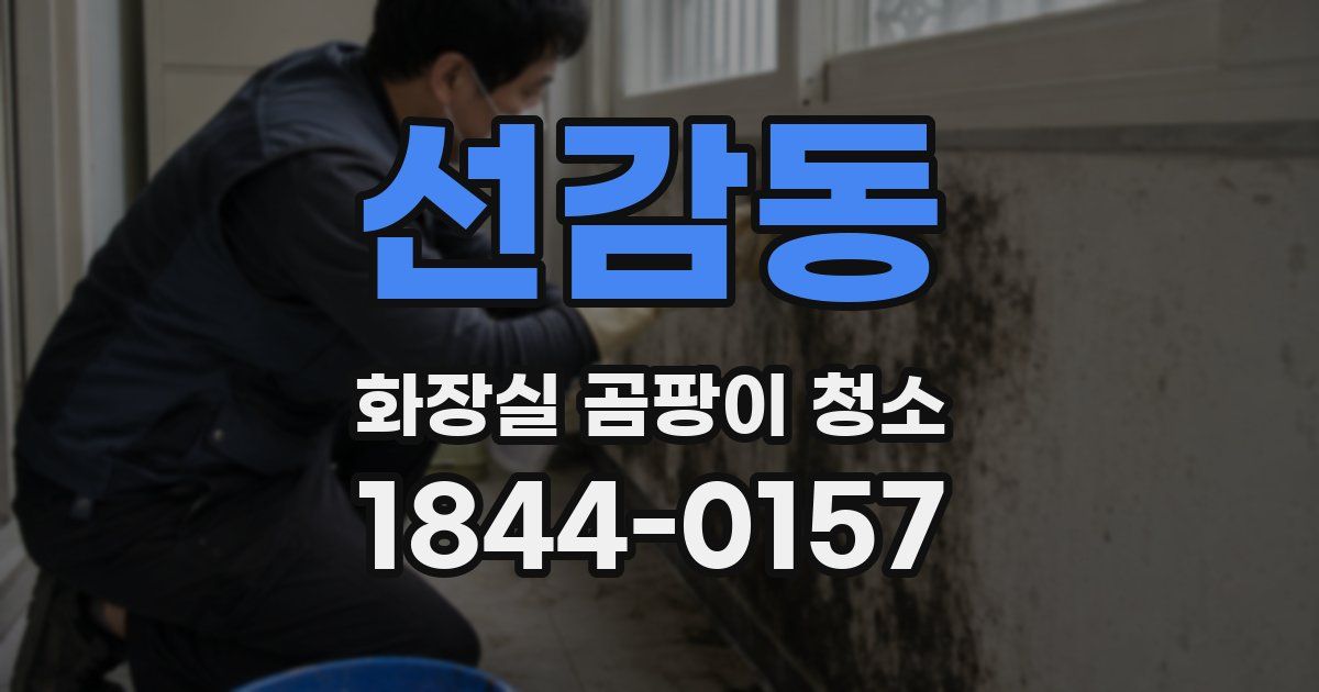 선감동 화장실 곰팡이 청소