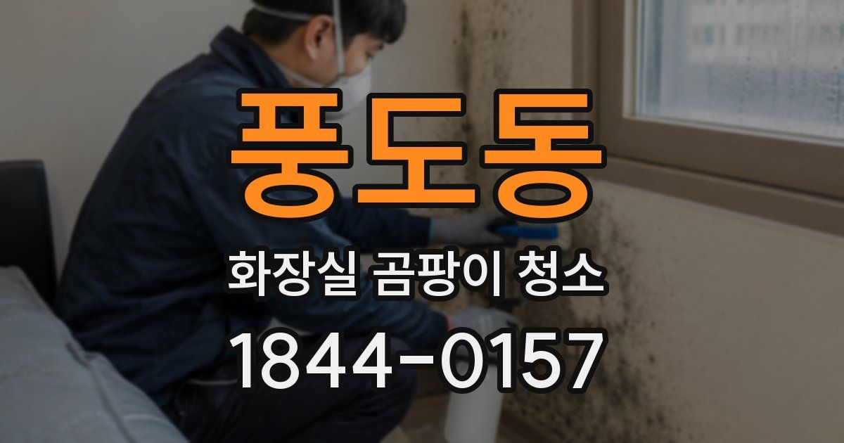 풍도동 화장실 곰팡이 청소