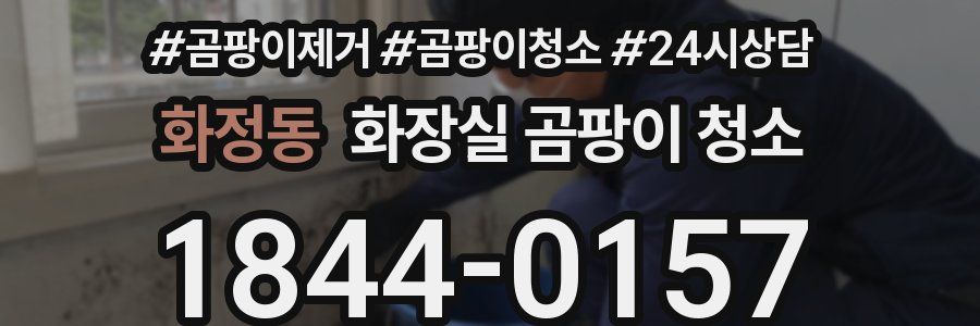 화정동 화장실 곰팡이 청소