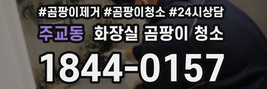 주교동 화장실 곰팡이 청소