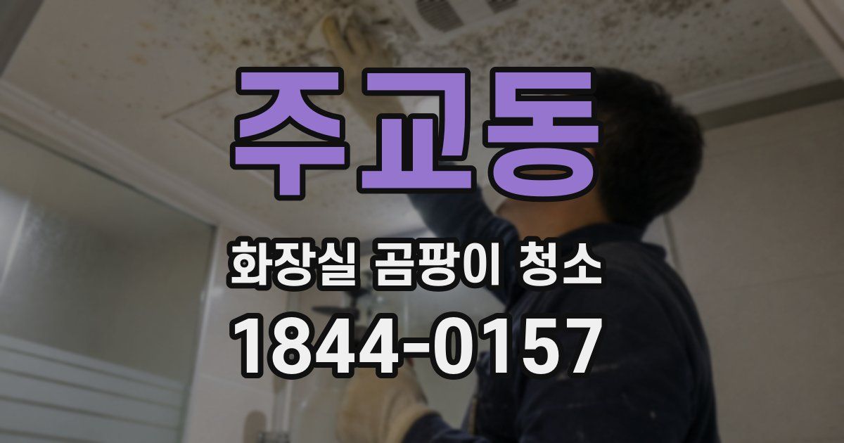 주교동 화장실 곰팡이 청소