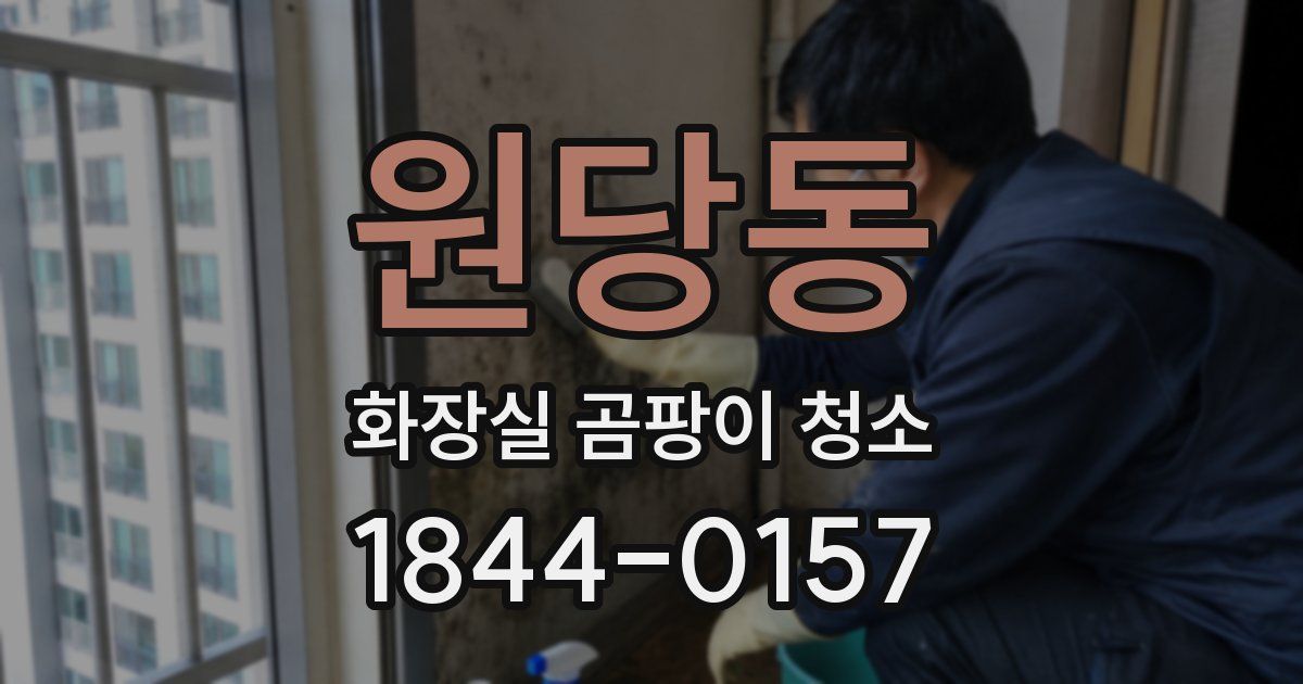 원당동 화장실 곰팡이 청소