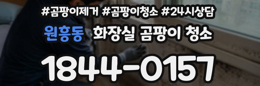 원흥동 화장실 곰팡이 청소