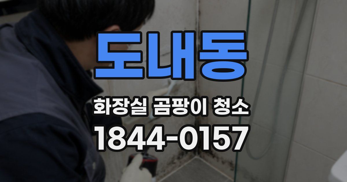 도내동 화장실 곰팡이 청소
