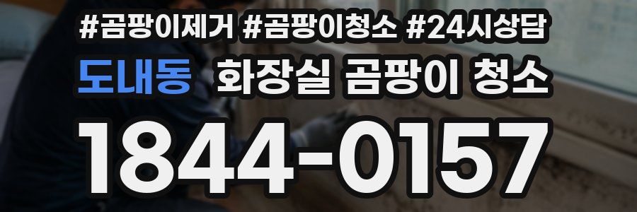 도내동 화장실 곰팡이 청소