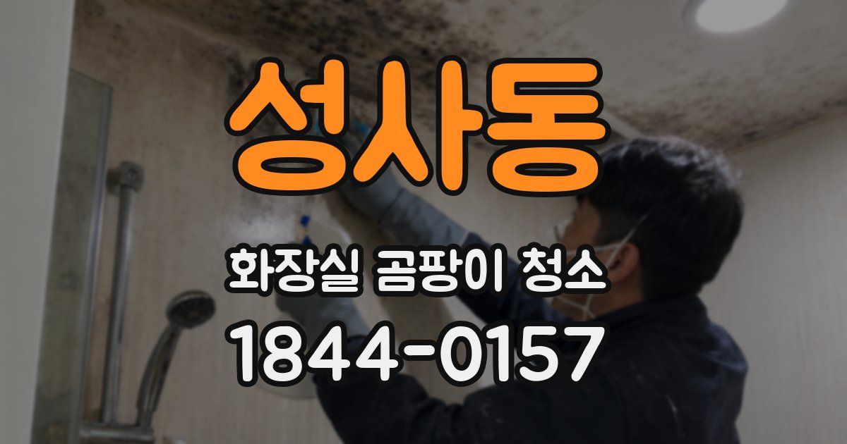 성사동 화장실 곰팡이 청소