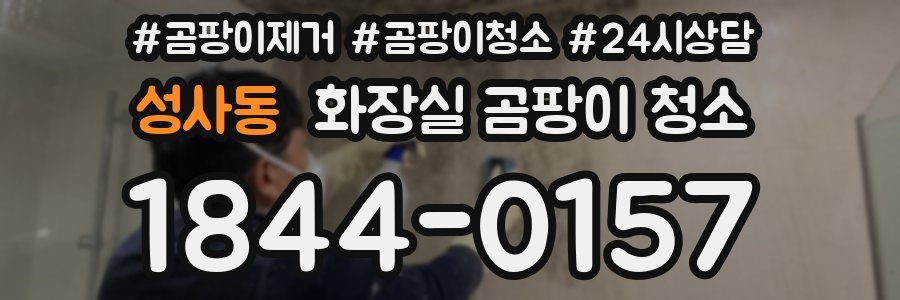 성사동 화장실 곰팡이 청소