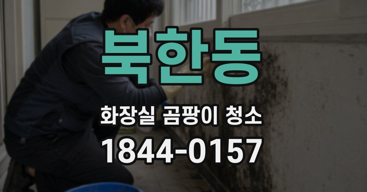 북한동 화장실 곰팡이 청소