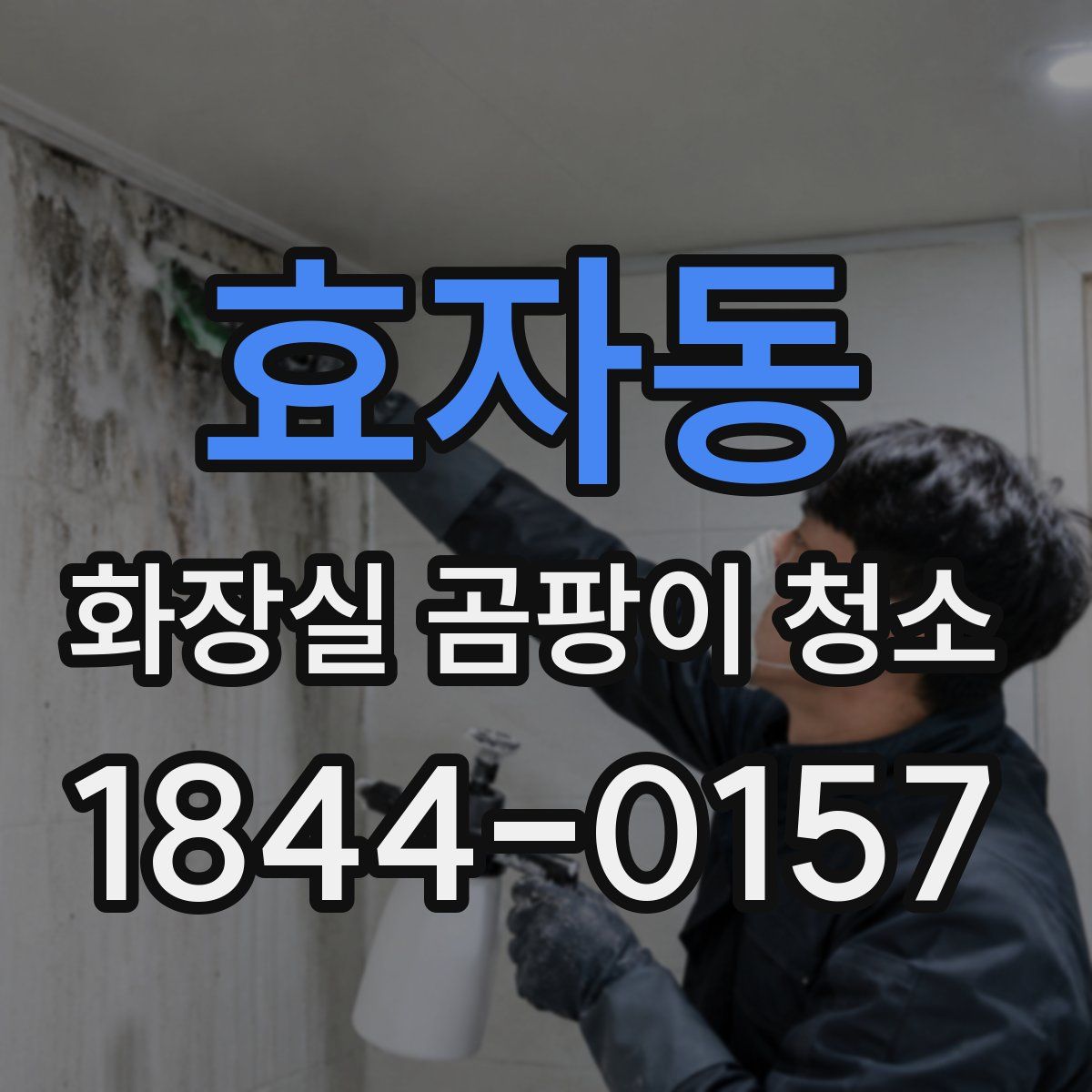 효자동 화장실 곰팡이 청소